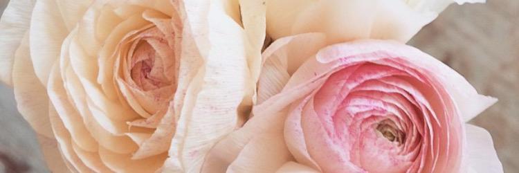 Cori Boxrud banner