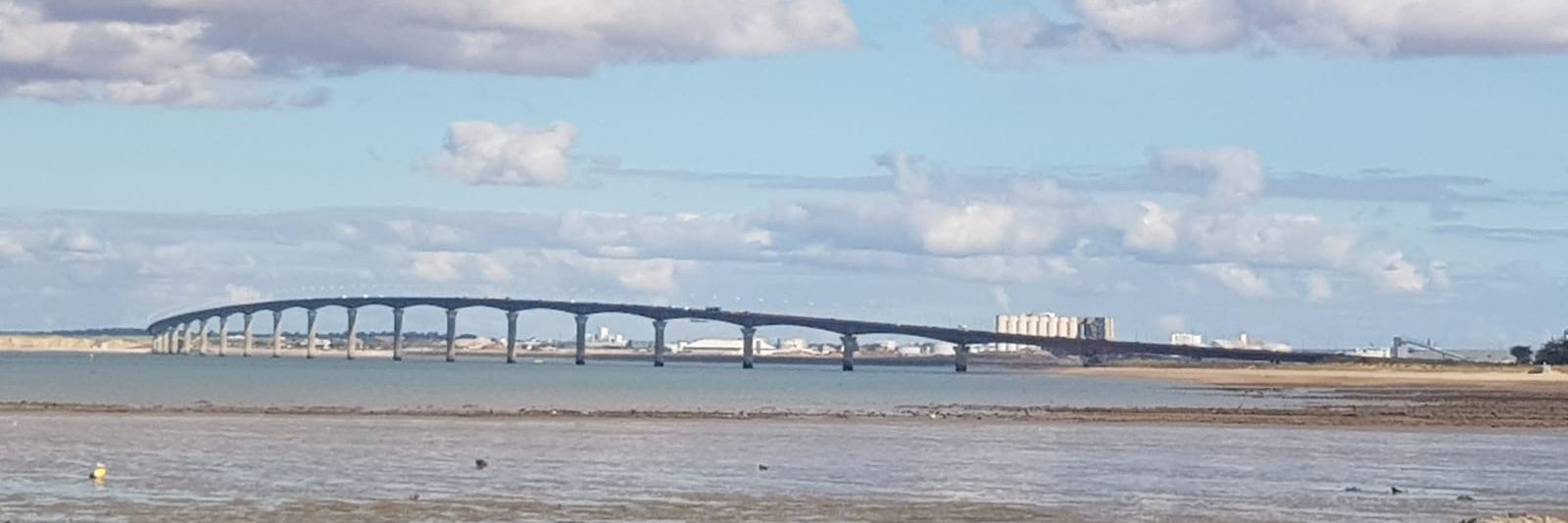 🇨🇵 sans filtre 🇨🇵 banner