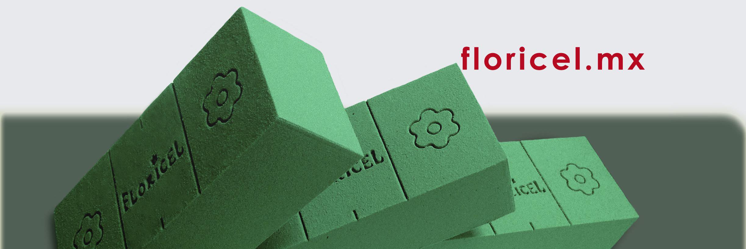 espumafloral's profile banner image