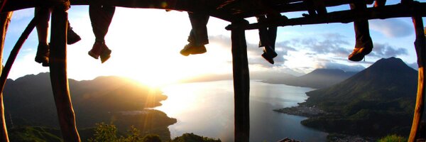 WalkingTreeTrav Profile Banner