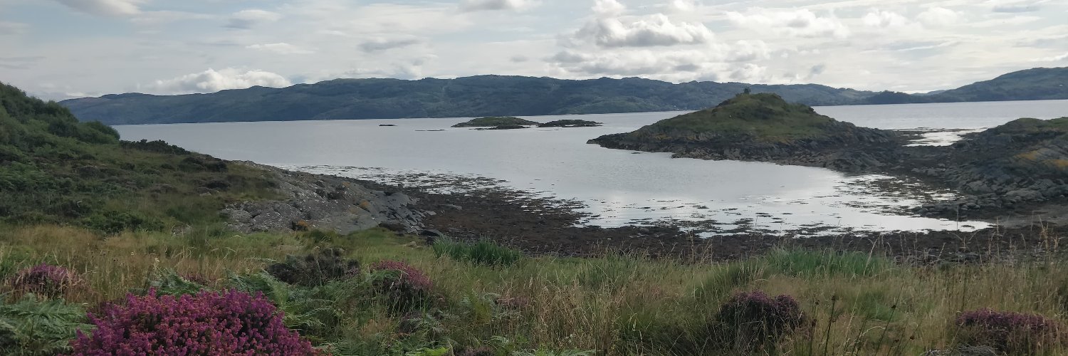 Meghan McCormack banner