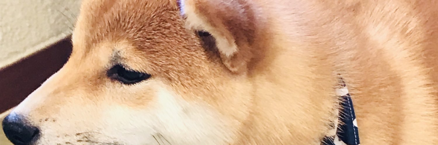 Aramaki42's profile banner image