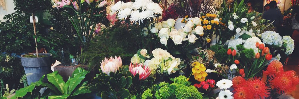 TheHannahSadler's profile banner image