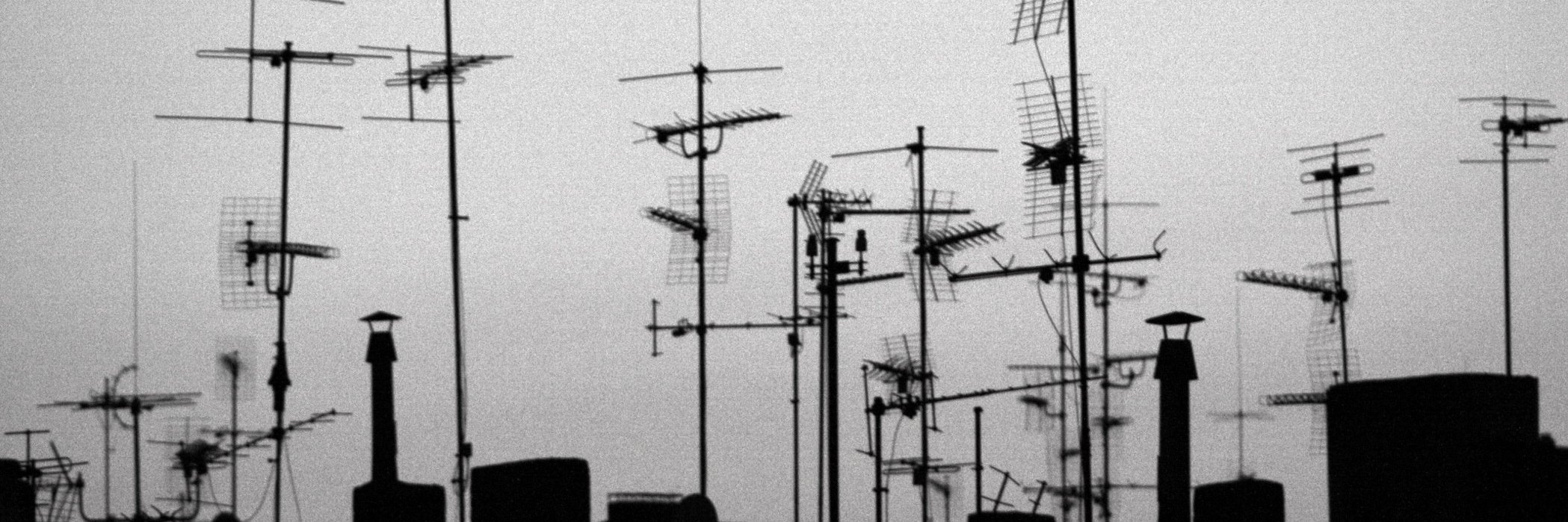 Michael Renner banner