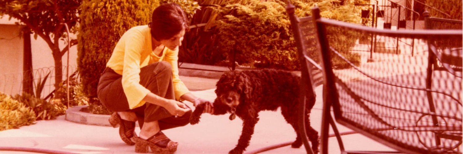 CarlotaBernal's profile banner image