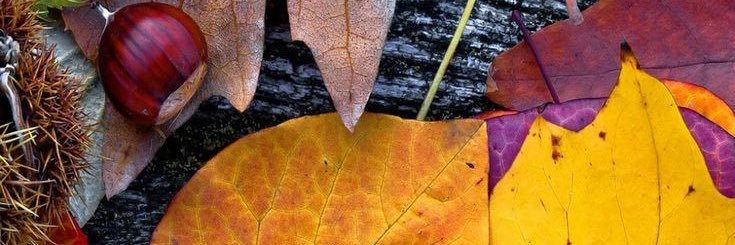 kcullen_c's profile banner image