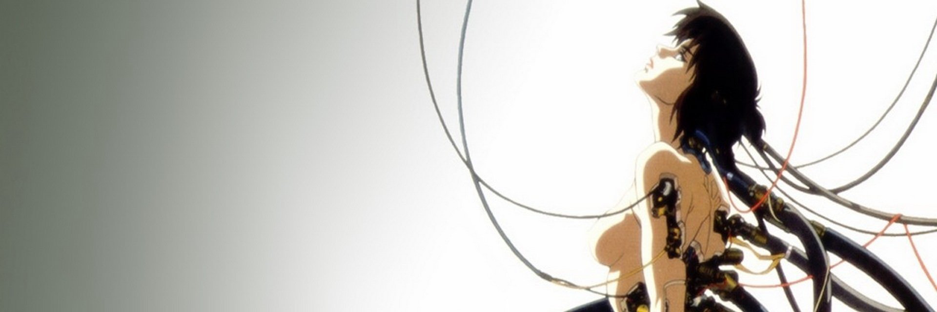 quike240's profile banner image