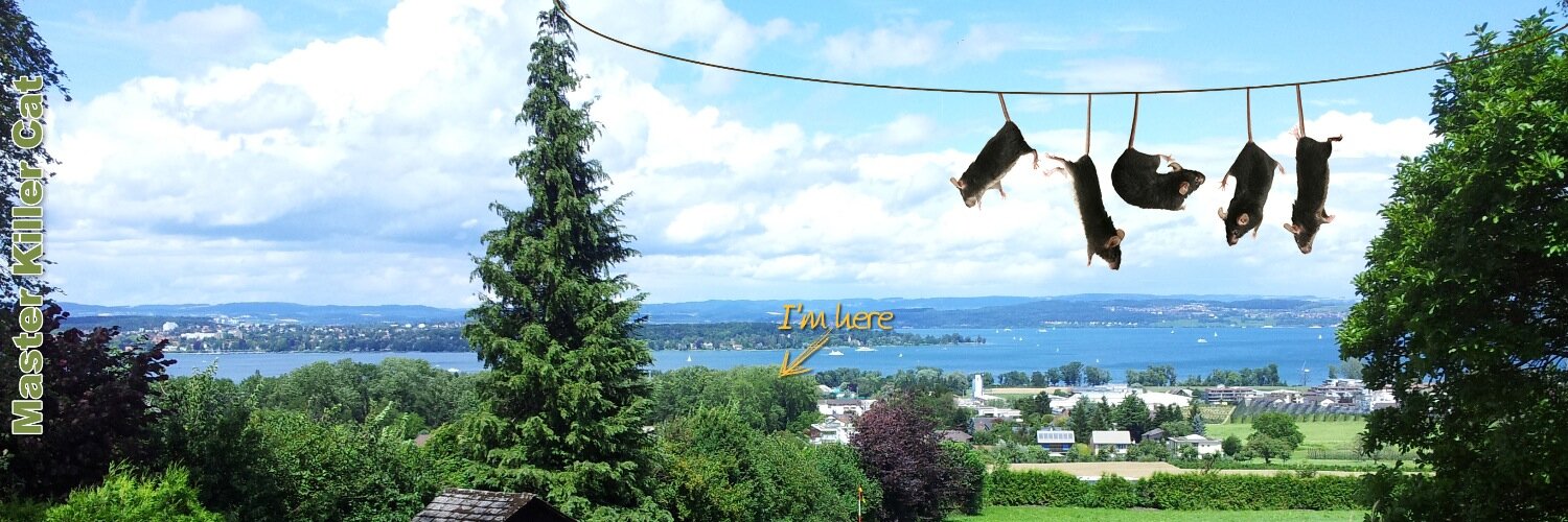 Master Killer Cat banner
