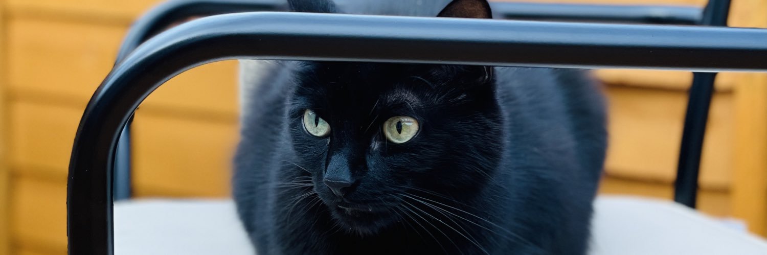 jillmaiolani's profile banner image