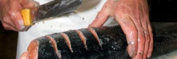 NFF_fishmongers Profile Banner