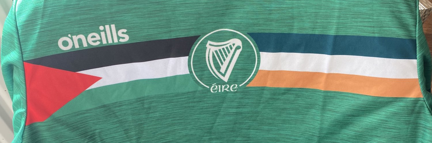 FREEDOMS LIGHT 🇮🇪✌️🇵🇸#proudpaddystinian banner