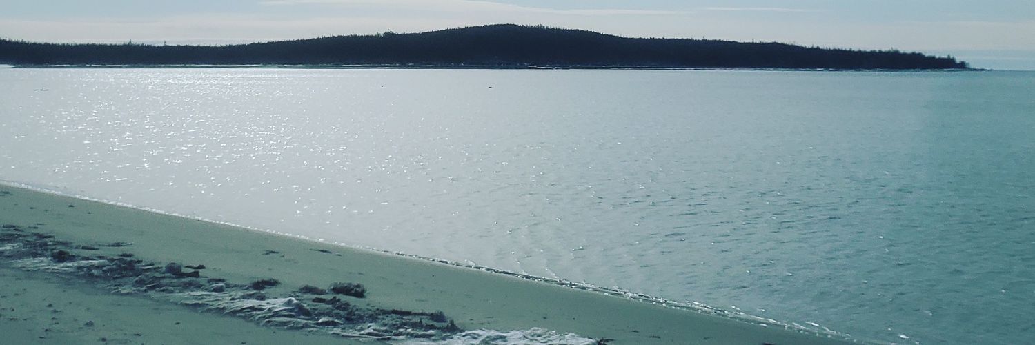 RichardMacLean's profile banner image