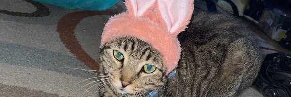 TexasTrippy Profile Banner