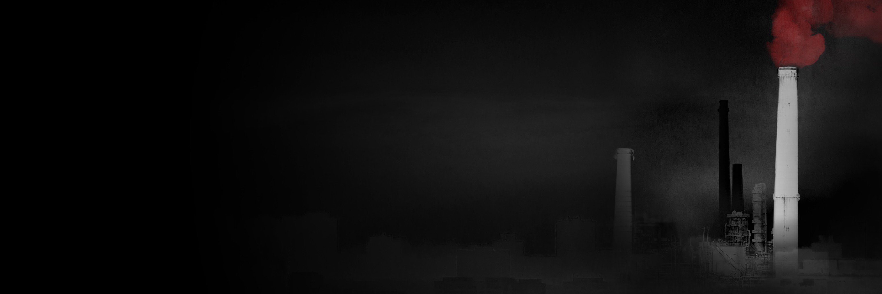 Stephanie Soechtig banner