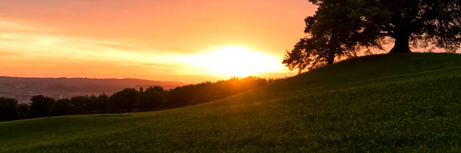 thilt's profile banner image