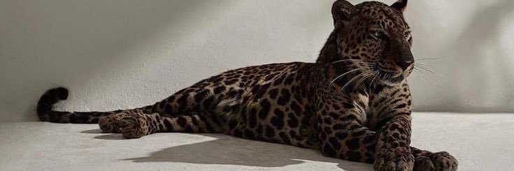 Meggerz_00's profile banner image