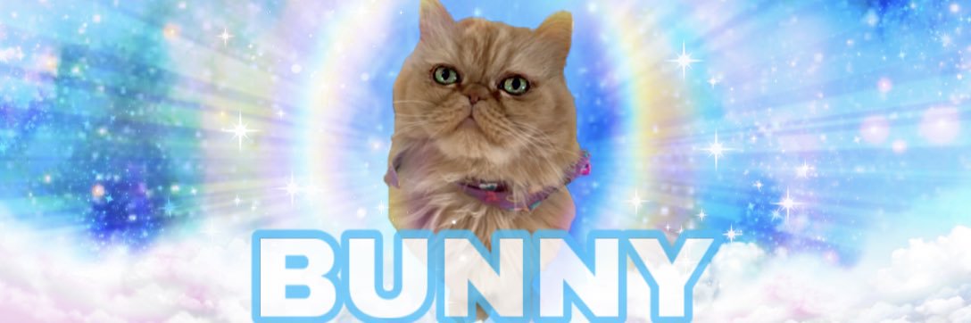 emilyfoshooo's profile banner image