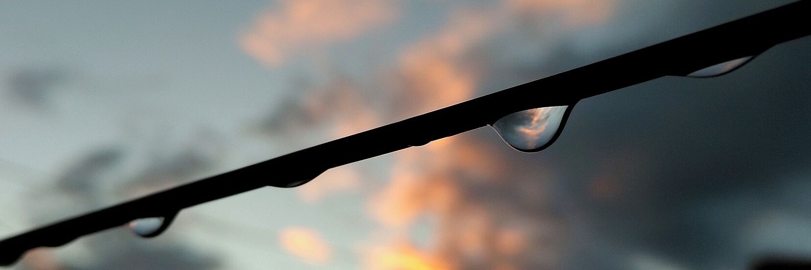 • J ∆ V I € ® • banner