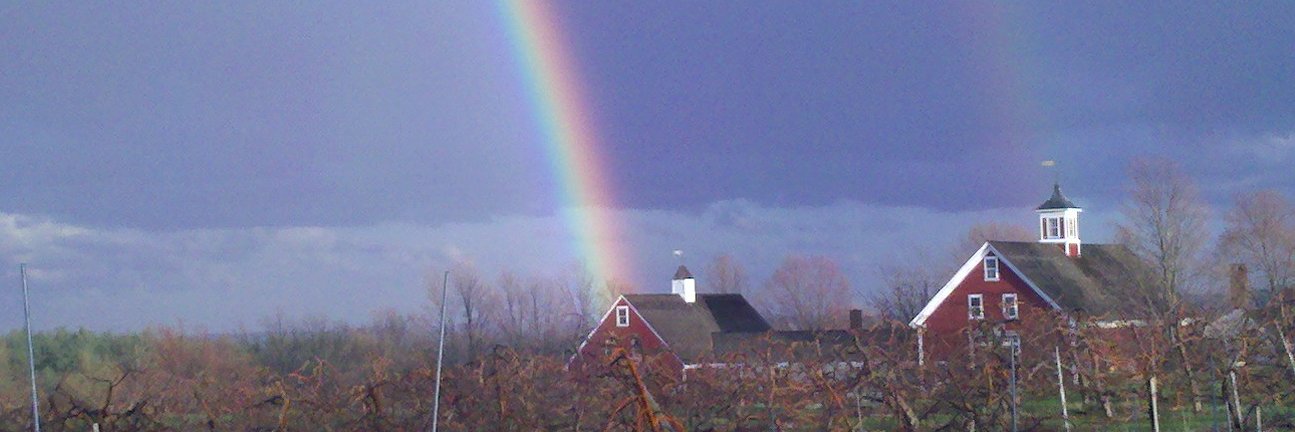 DebBeaubien's profile banner image
