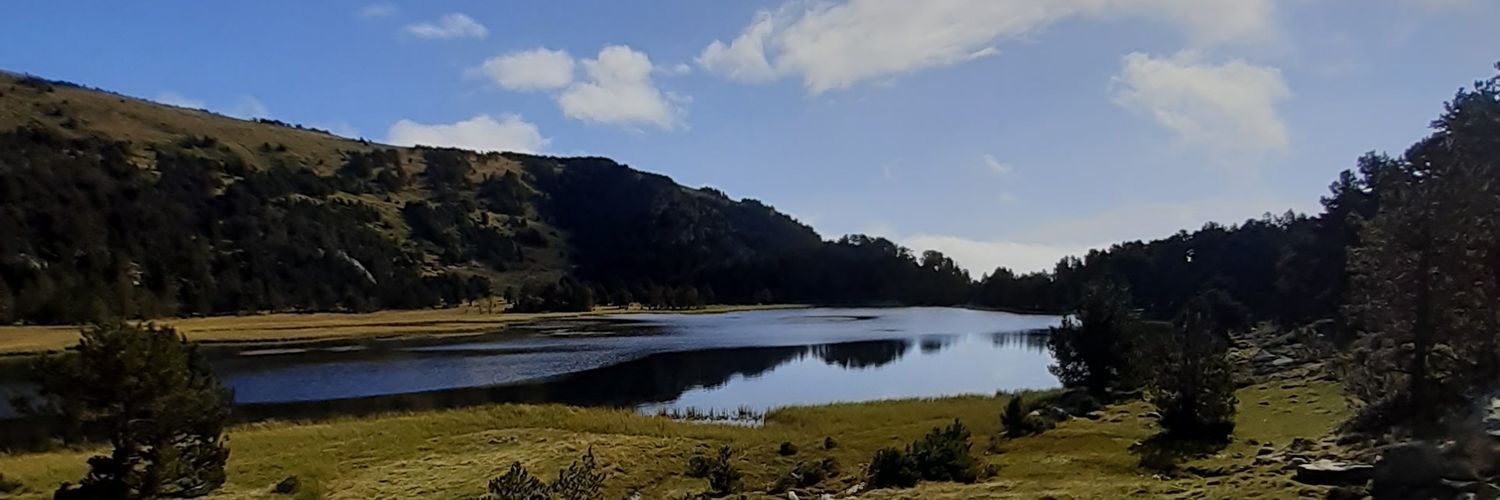 BezesFanny's profile banner image
