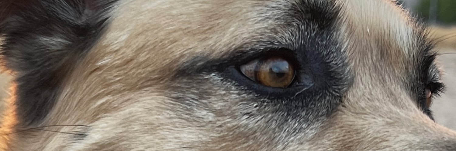 Mofletina's profile banner image