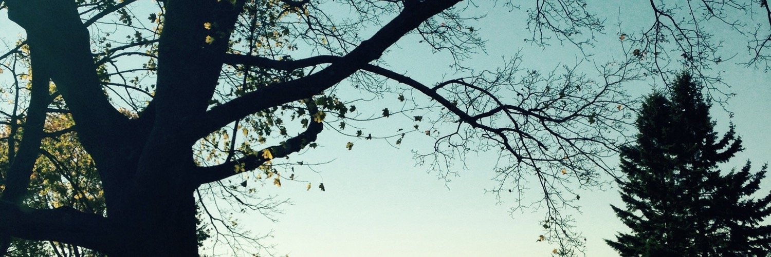lysssssward's profile banner image