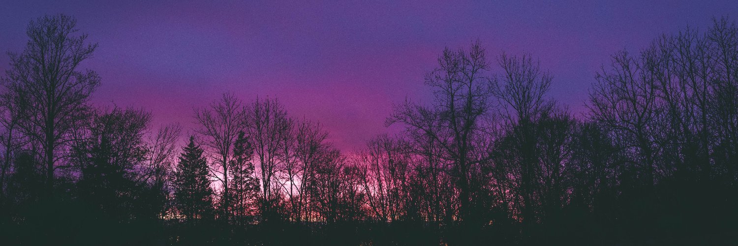 alicegoold's profile banner image