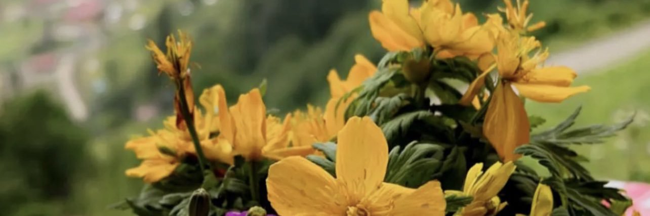 ALD3YAN's profile banner image