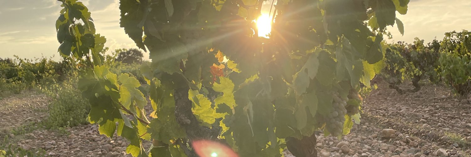 Neutryno's profile banner image
