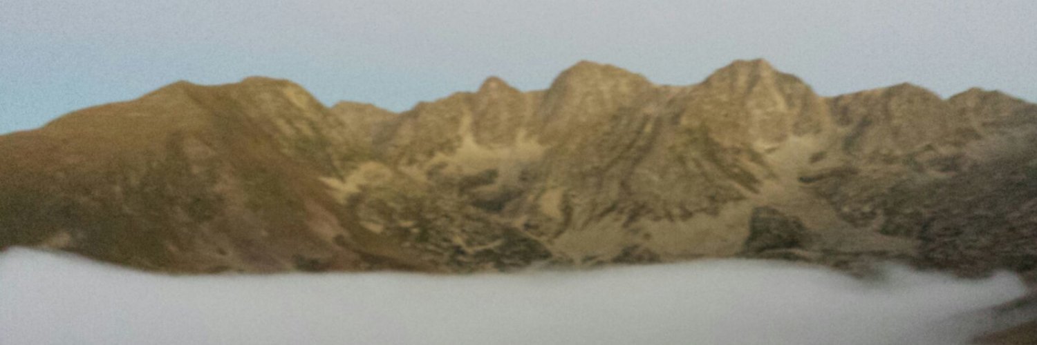 Christophe Canler banner