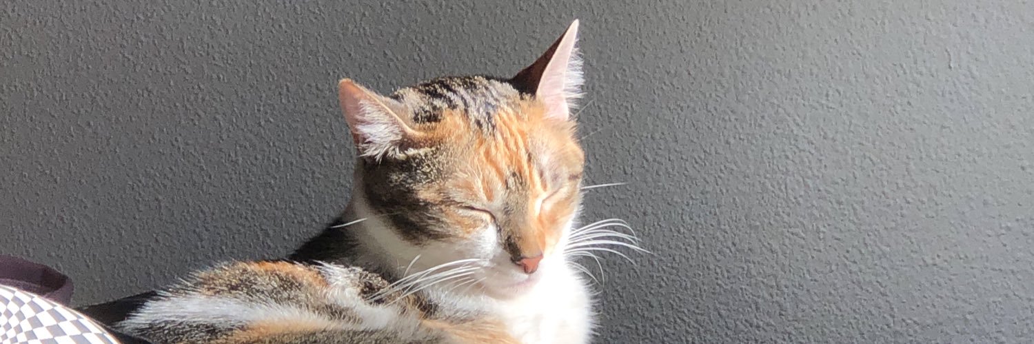 Maria_Escn's profile banner image