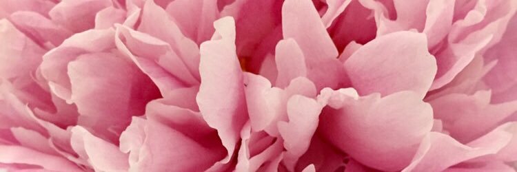 ttymoxox's profile banner image