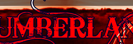 C_Bandits's profile banner image