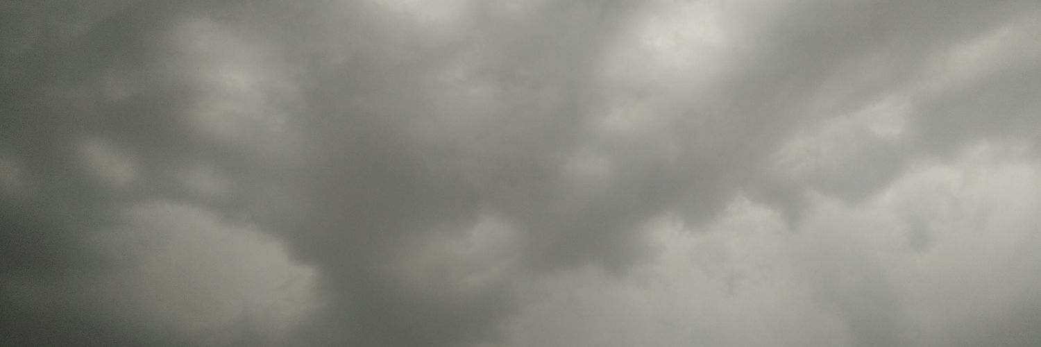 bukowfee's profile banner image
