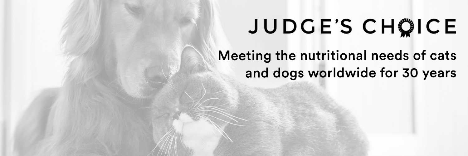 JudgesChoiceUK's profile banner image