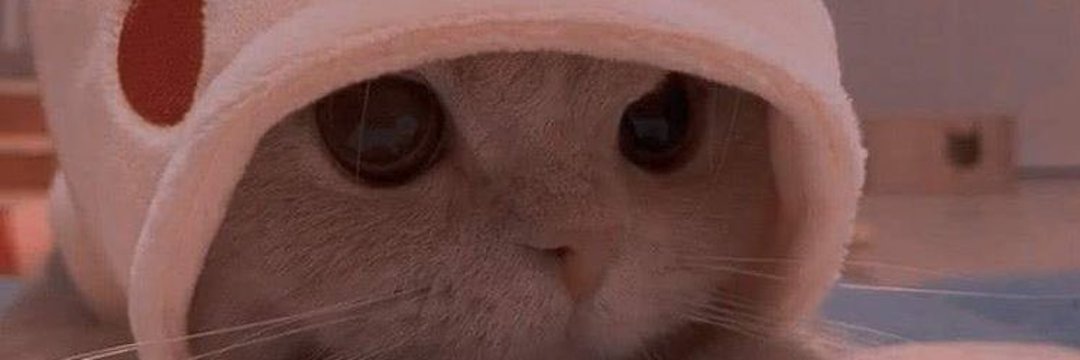 MrMarkius's profile banner image