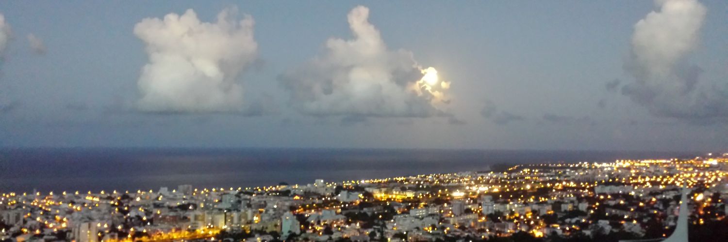 CLEMI La Réunion banner