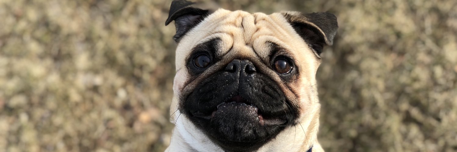 Benjy9's profile banner image
