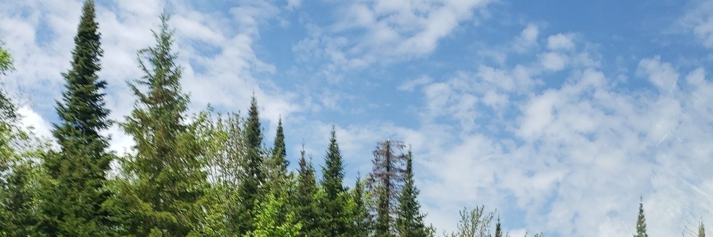 _Aceyx's profile banner image