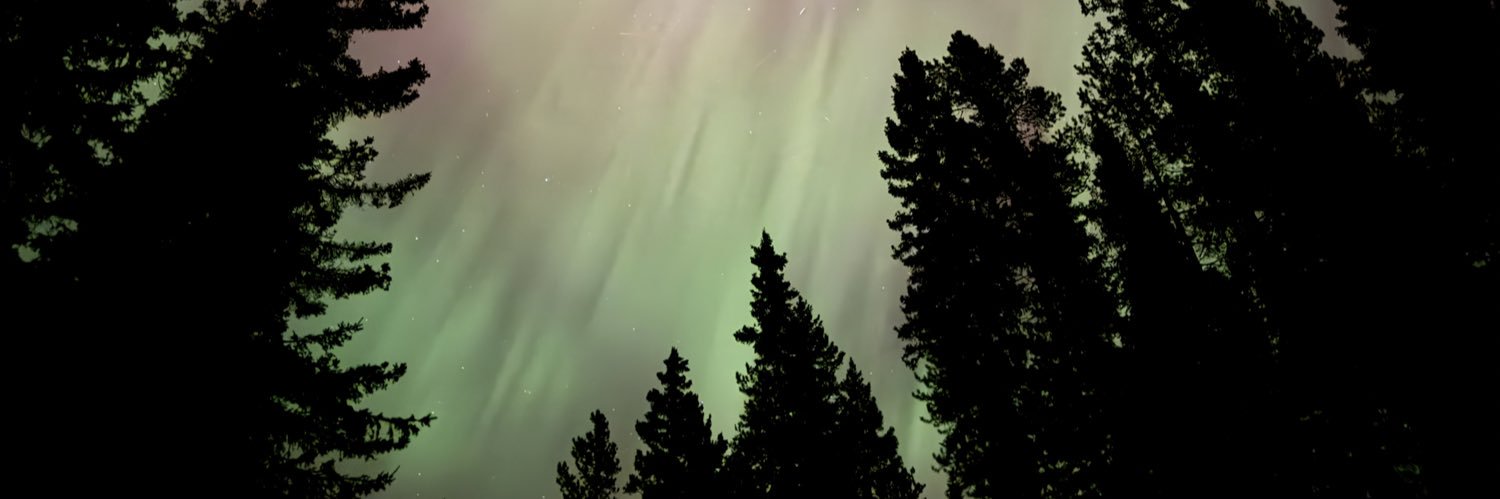 dryadiabat's profile banner image