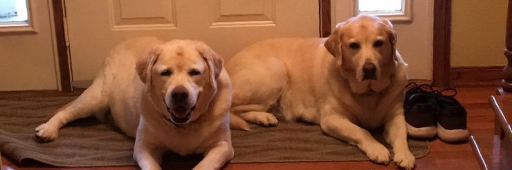 brooke_duro's profile banner image