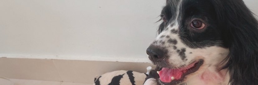 Michelleroble10's profile banner image