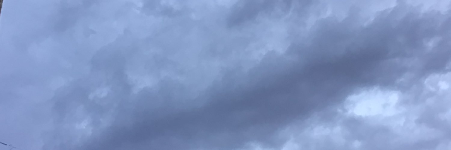 Scott Emberlin (@WaschbarOne) / Posts / X