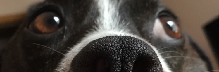 JaimeStickler's profile banner image