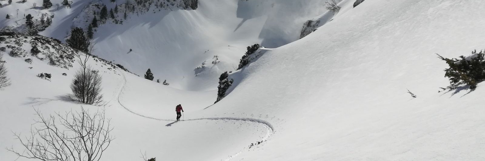 Laurent Ribiere banner