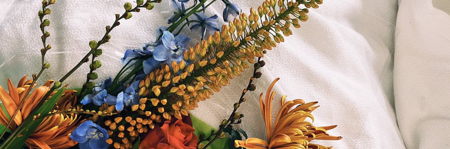 whateverSERENA's profile banner image