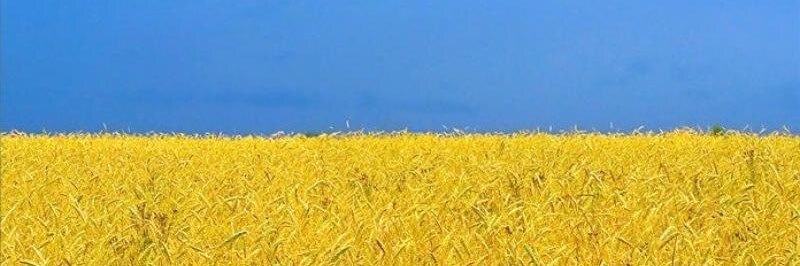 oleg_sml's profile banner image