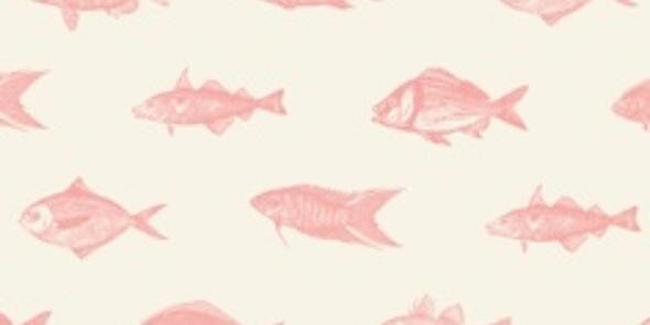 __Yaska's profile banner image