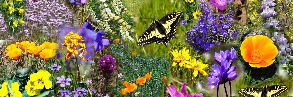 creativityguru's profile banner image