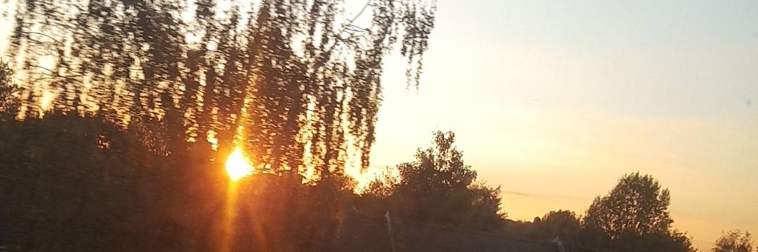 Local_Bic0n's profile banner image
